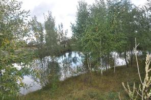 ������� ����� ������. �� ������.