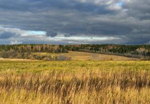 ������� � � ����-������� 10 �����. �� ������. ��-�� ��������.