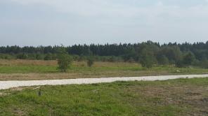 ��������� ���� �� ����� ����. ������� 10�����, ����� ���, ���������� �����.