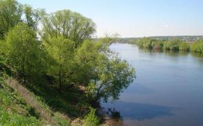 ��������� ��������� ������� 20 �����. ���������� �������, ��������� �����