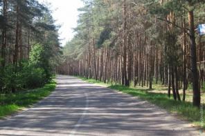 ��������� ��������� ������� 20 �����. ���������� �������, ��������� �����