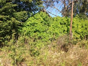 ��������� ������� 53 ��� ���������� ������� ������������ �-� �. ������