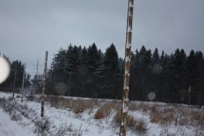 ������ ������� � �. ���������, ���