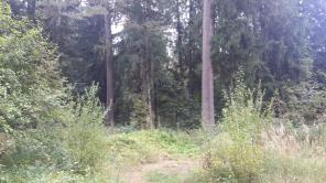 ������ ������ ������� 3,55 �� ���������.����.31 ��