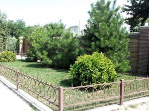 ������� ��� 15 �����, �. ������.