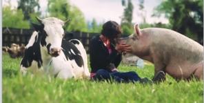 ������� ��� 15 �����, �. �������.