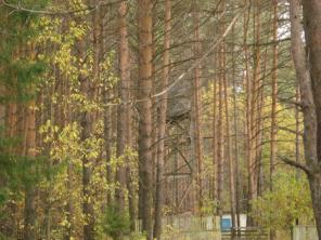 ������ y����o� ��� ���� ����x�