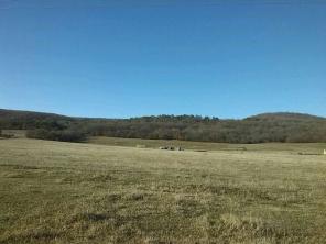 ������ ��������� y������ � �p��� � c. ���c�o����� �������o �� C�����o����