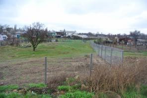 ���c�o� 10 ����� y ��p�.