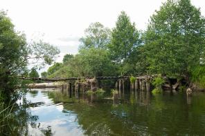 ��������� ��������� ������� 3 ��. ���. ��������.�.��������.