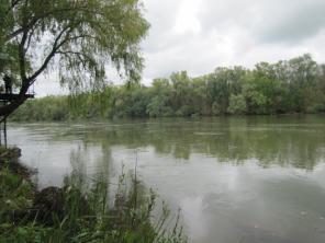 ������ ������ ��������� �������