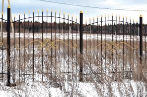 ��������� �������  ��� 15,5 ��.��������� �������