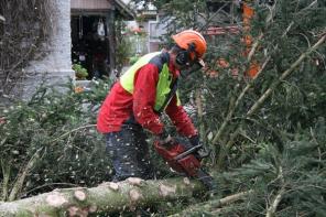 ��������� �������� �� ��������.�������� ����.