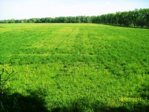 ������� 5.8 ��.