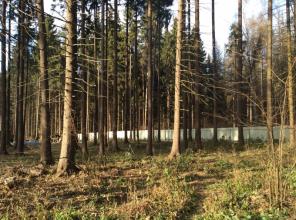 ������ ������� � �. ��������� ����������� �-��