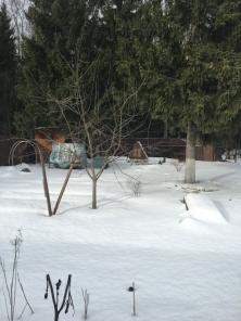 ������ ������� � ������� ��������� ����������� �����