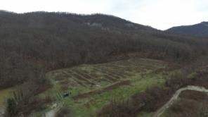 ���c��� ��� ������ �o�a