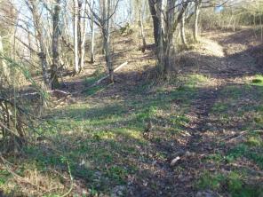 ���� ����������� ����� �. ������������ ��. ������������ �10