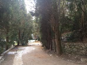 ��������� ��������� ������� 6 ����� � ���� (������)