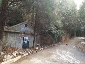 ��������� ��������� ������� 6 ����� � ���� (������)