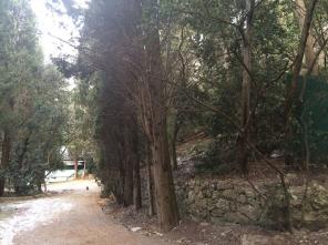 ��������� ������� � ������� (����) 6 ���