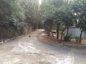 ��������� ������� � ������� (����) 6 ���