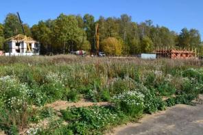 ������� �� ������������ ����., ����������� �. 10 �� �� ����, ���