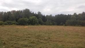 ������� ���.13 ���, ����� ������, ����. �����. �����������.