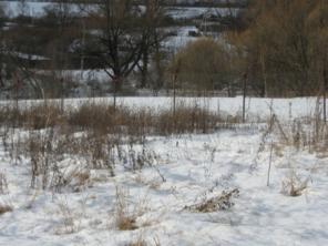 16 ���. ��� �. ������ �. ������ �. ������������