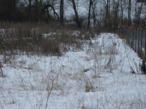 16 ���. ��� �. ������ �. ������ �. ������������