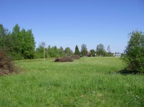 Y�a���� 25 c�� ��� �� ��p��� ����� ���������