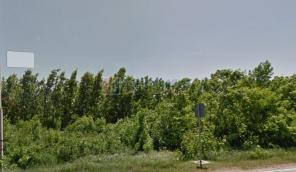 �������� ��������� ������� ��� ��������� ��� ������������� ��������