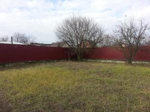 �.���������, 12 �����, ��� "������"