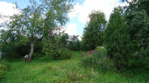 ������ ������������� ������� � �������