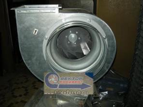 ���������� ���������� ������������ ��