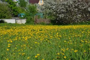 ��������� ��������� ������� �� 10 �� 20 �����