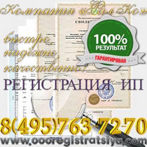 Регистрация ИП под ключ. Без разъездов. 100% гарантия.