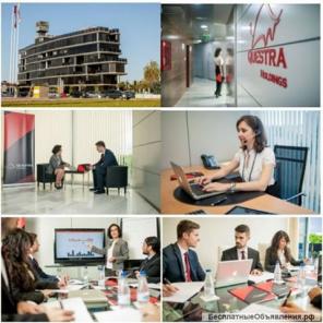 Инвестиция, бизнес,questra world, квестра ворлд