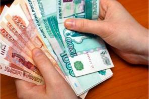 Оказание профессиональной поддержки и помощи в получении кредита.
