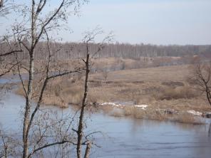 Продается земельный участок: Новгородская область, Старорусский район, река Ловать. д. Веряско.
