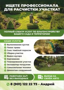 Расчистка/уборка участка. Спил деревьев.