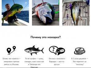 Предпочитаете поймать трофейного тунца? Сахалин