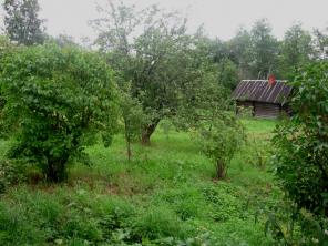 Продается Дом в деревне