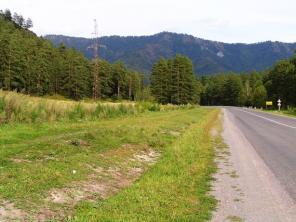 Земля в Горном Алтае. 1 Га. Не дорого. Срочно.