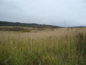 Продам земельный участок в Серпуховском районе