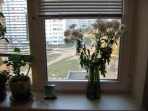 Пластиковые окна. Изготовление и установка.