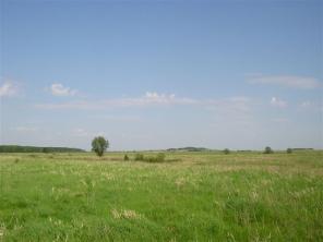 Продам два участка с/х 15 км от Санкт-Петербурга. Ропша
