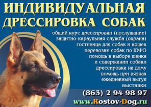 Дрессировка собак Ростов н/Д тел. 2-94-98-97 Индивидуально