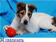 Улыбчивая девочка ищет маму-папу