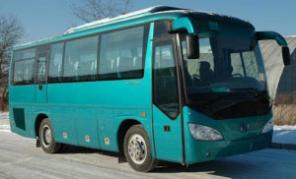Пассажирские перевозки микроавтобусом